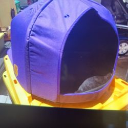 Dog House