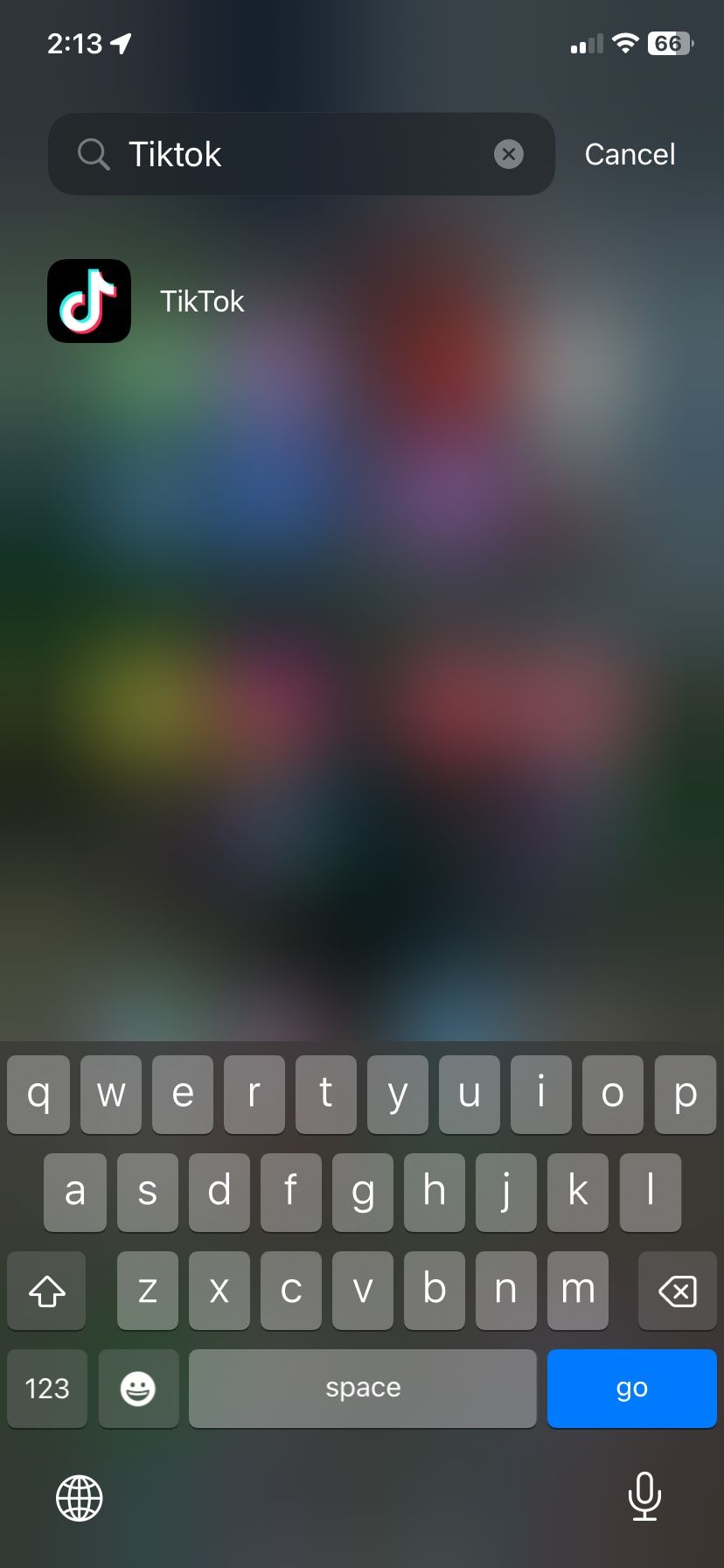 iPhone 11 With TikTok