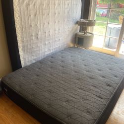 Queen Bed And Box Spring