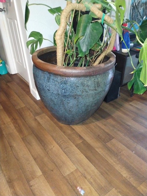 Plant/Tree Pot