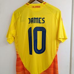 Colombia James Rodriguez Soccer Jersey 2024