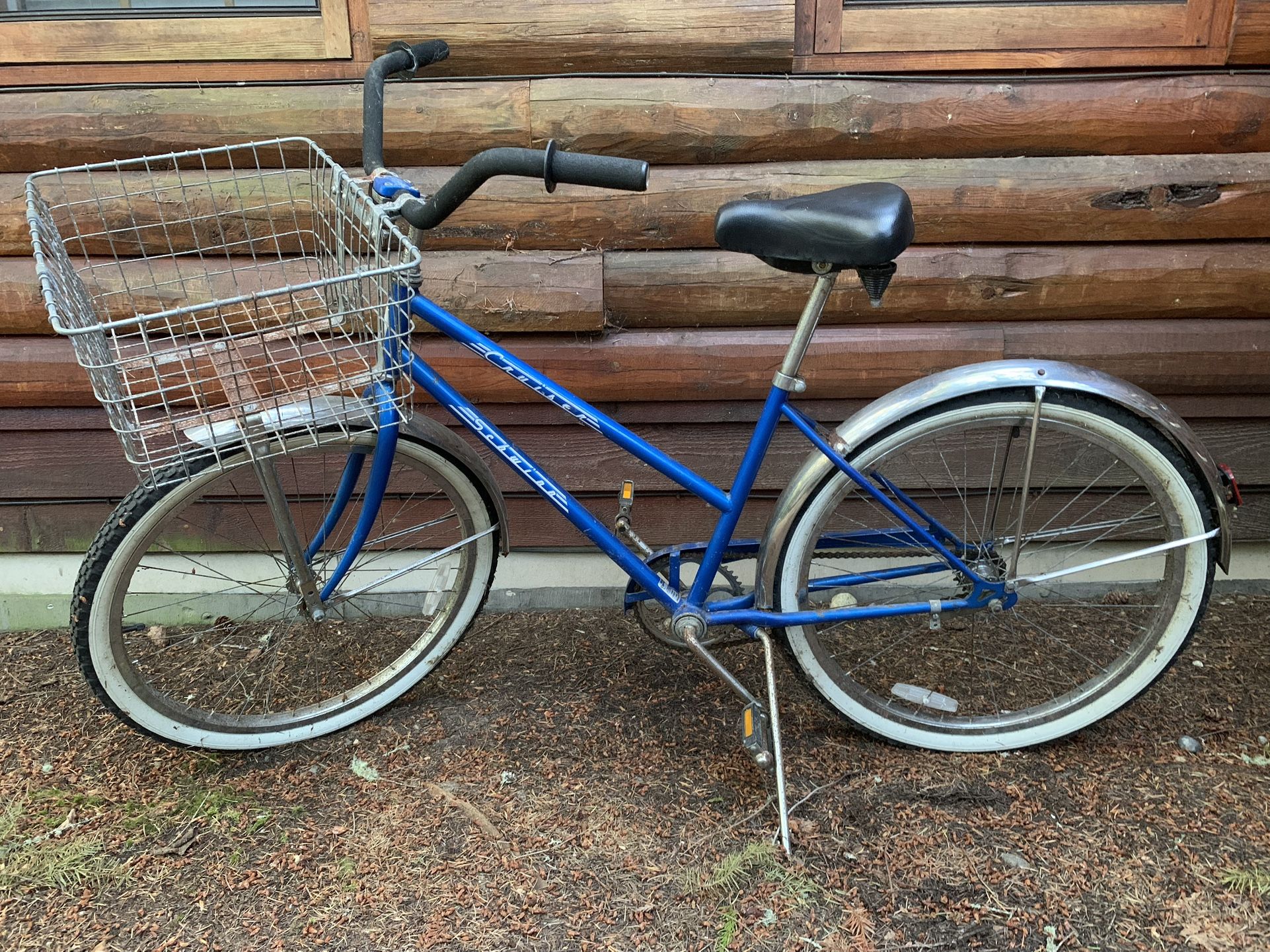 Schwinn Cruiser