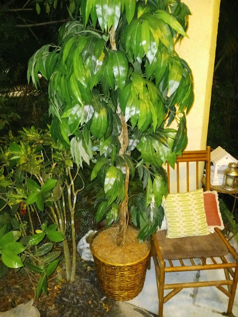 New 6ft Artificial Home Plant Tree 20 Firm Look My Post Alot Items