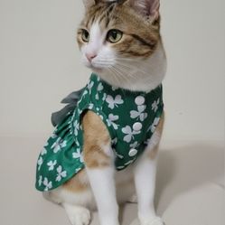 Green St. Patrick's Day Themed Dog/Pet Dress Size Medium