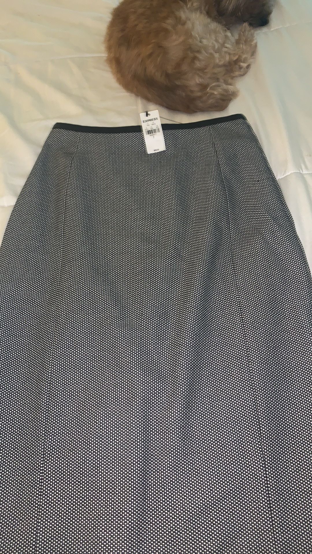 EXPRESS Black & White Pencil Skirt