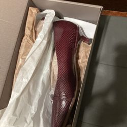 Cute Shoe