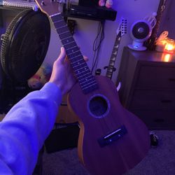 Guitar  