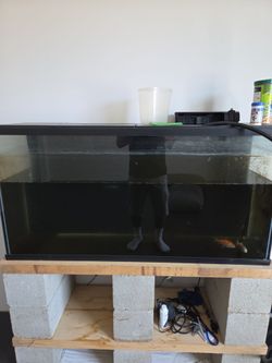 Free 55gal fish tak