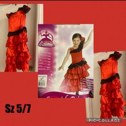 Child’s Spanish Princess Costume