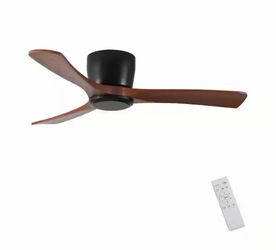 Ceiling fan