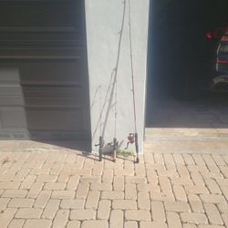 3  Fishing Rods 