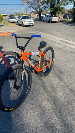Throne 29er