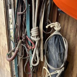 Miscellaneous Horse Tack