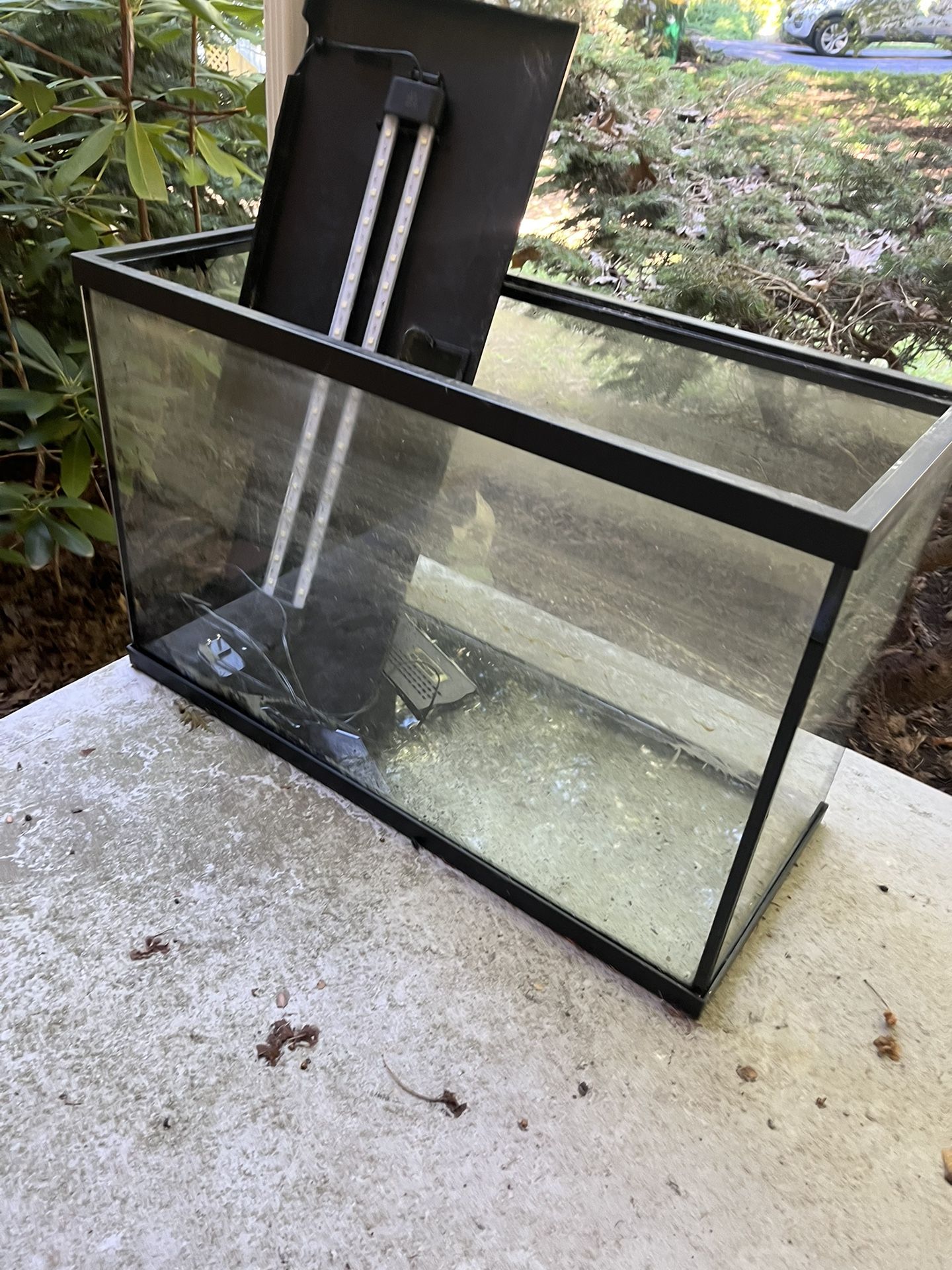 29 Gallon Tank
