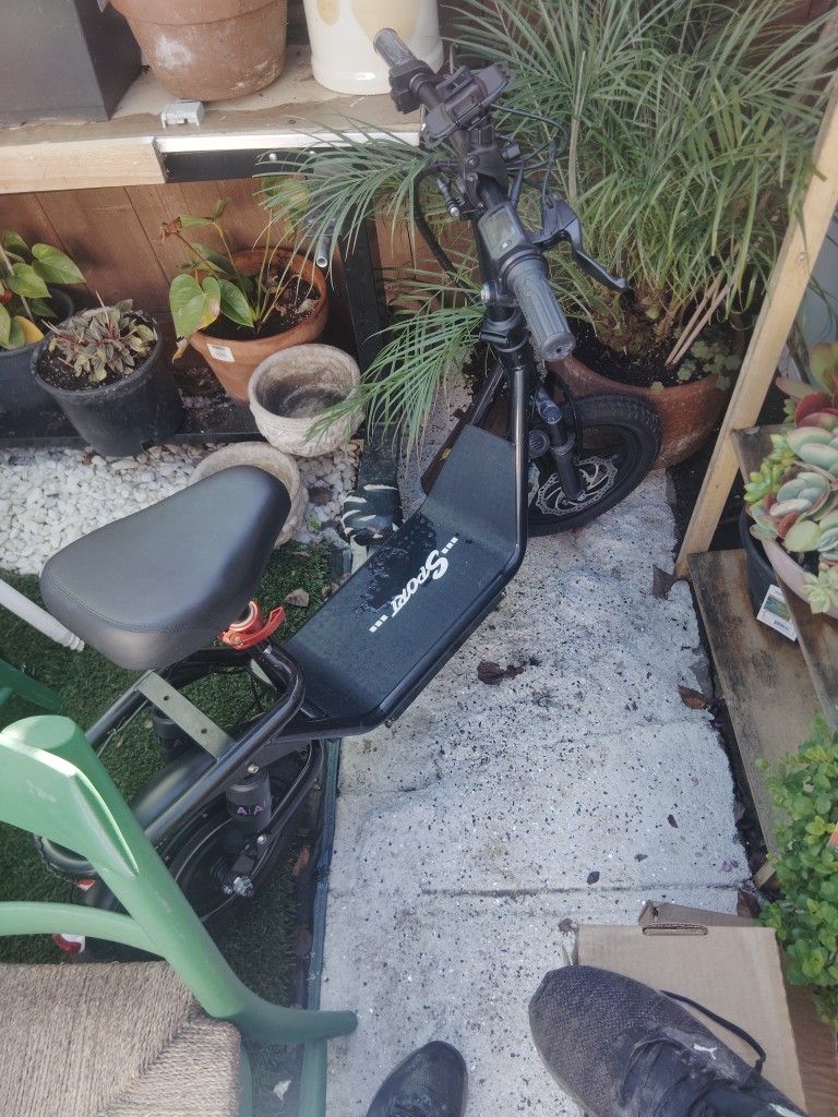 E Scooter 