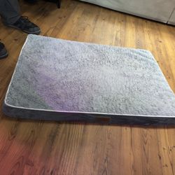 Medium Dog Crate with Bed