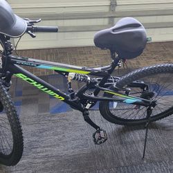 Schwinn Moutain Bike 29 Inch