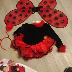 Ladybug