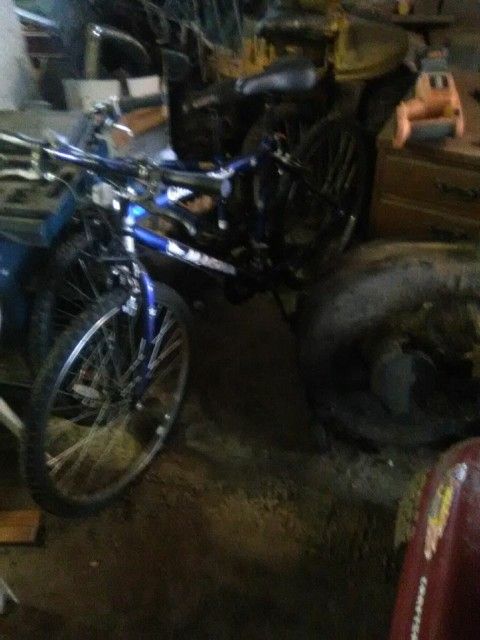 Magna Mountain Bike...Works