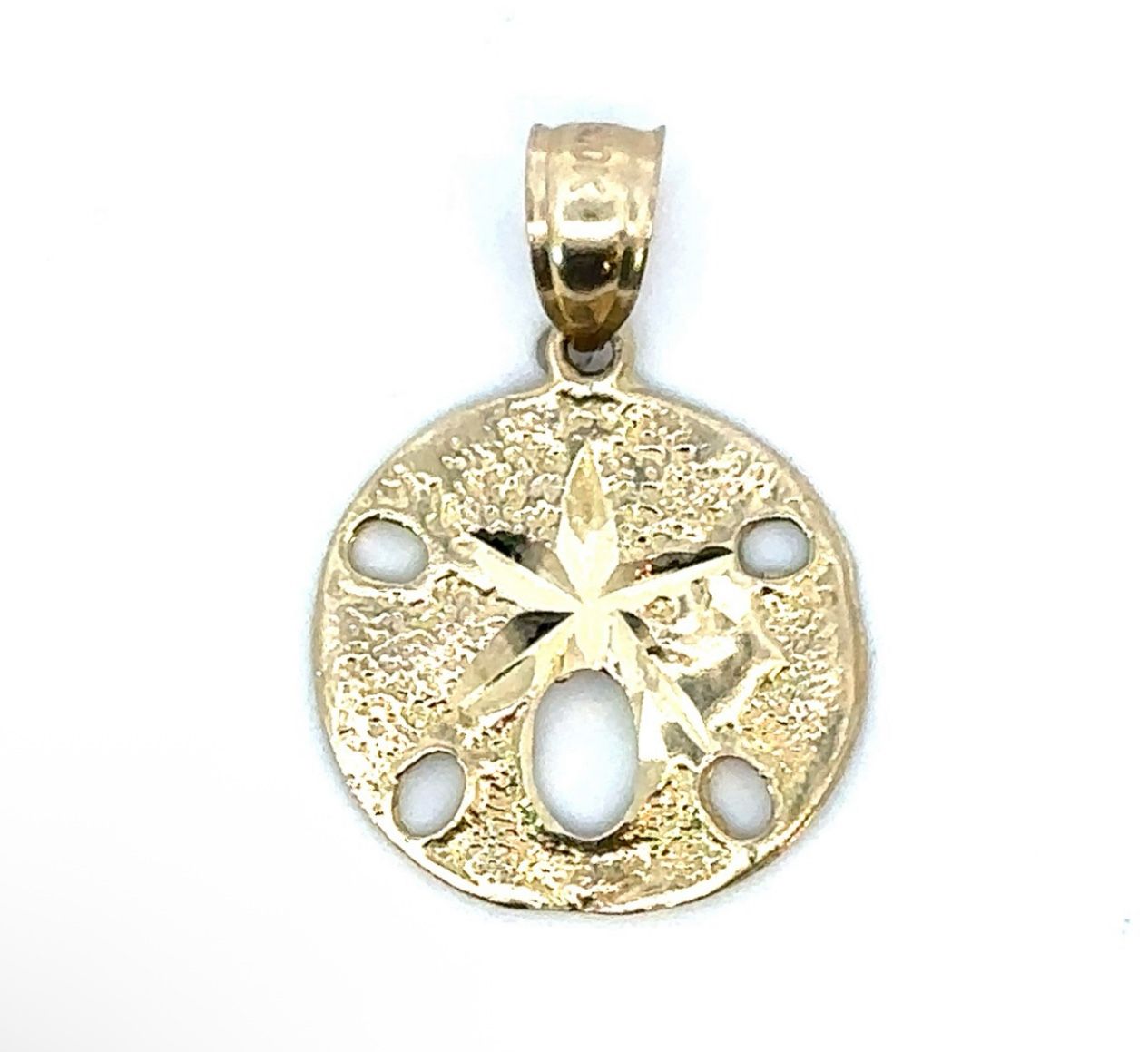 Woman’s Ladies 10k Yellow Gold Sand Dollar Shell Charm Pendant For Necklace GP3105389