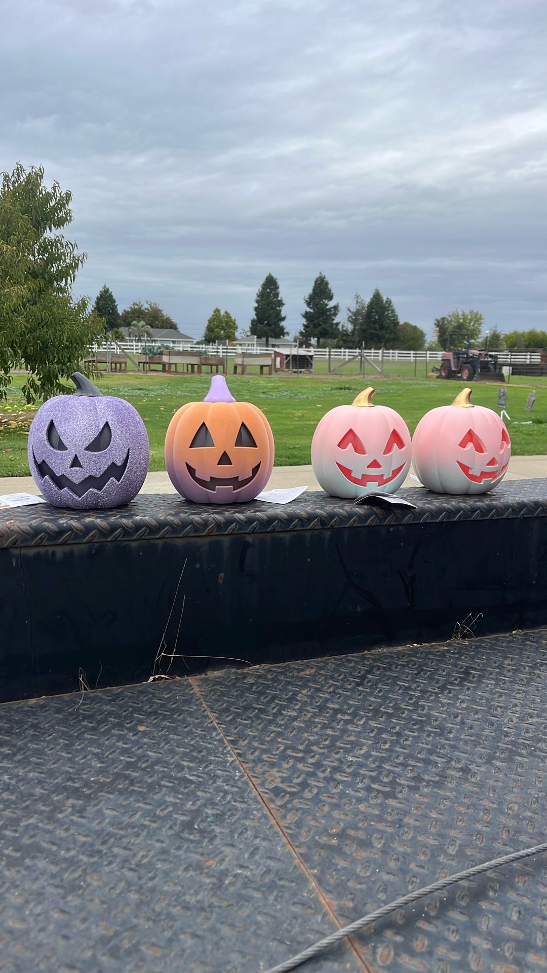 LED Jack O Lantern Pumpkin