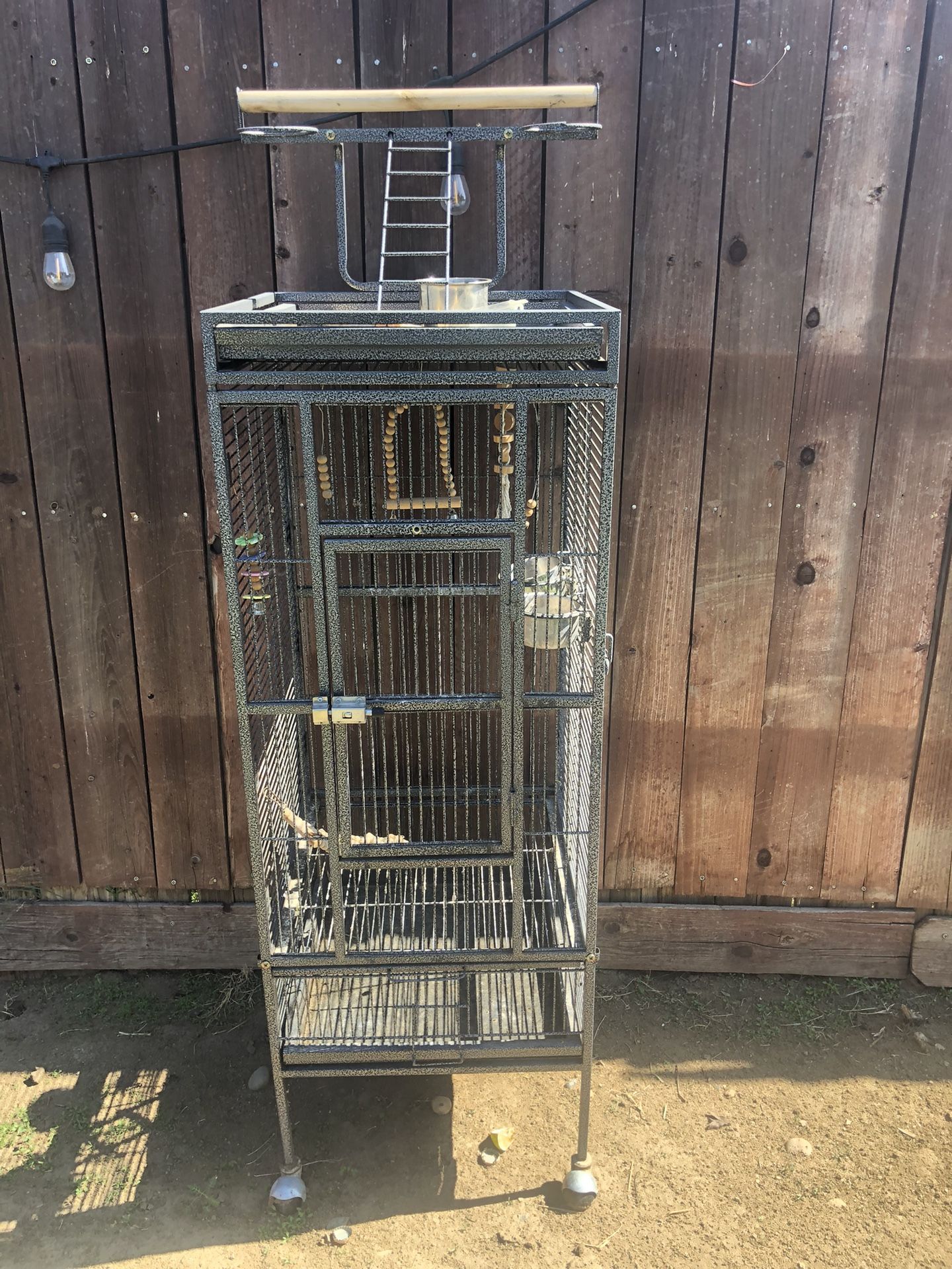 Bird Cage