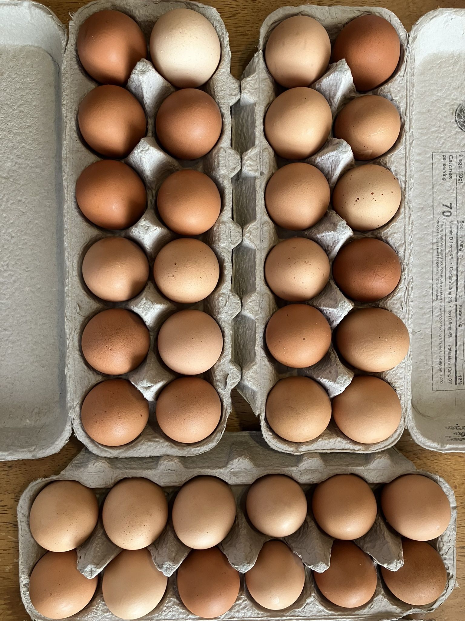 JAZ Farm Eggs