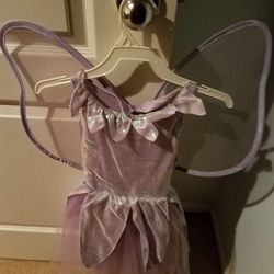 Fairy Halloween Costume