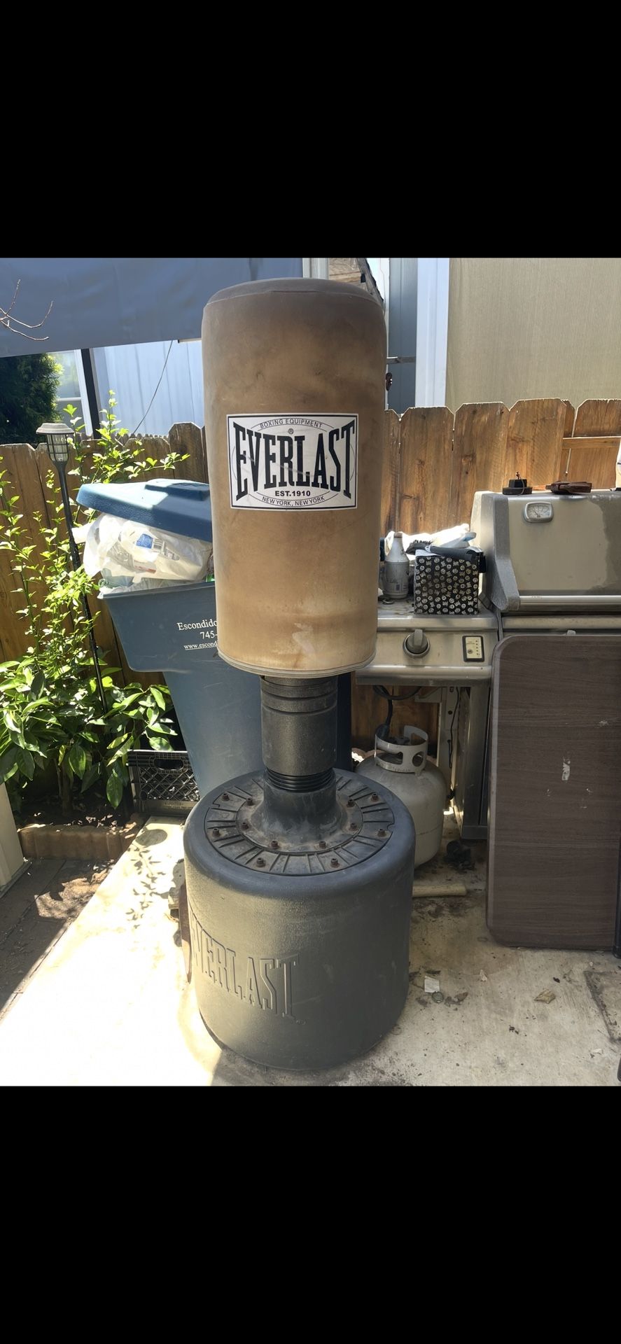 Everlast Heavy Punching Bag