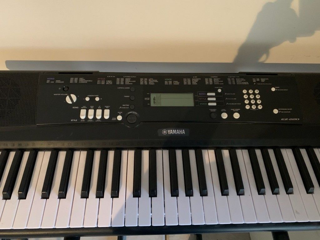 Yamaha EZ 220