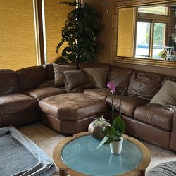 Arizona leather couch