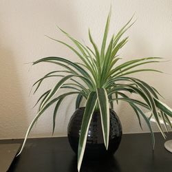 Faux Plant