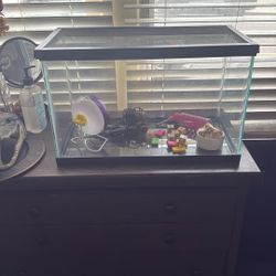 Fish & Hamster Tank 