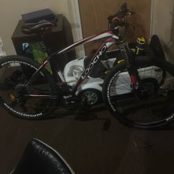 New Bike