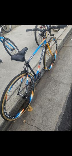 Colnago Alberto Road Bike