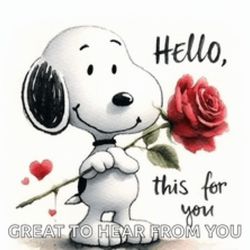 Full Size black leather bed 