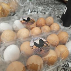 Fresh Farm Eggs