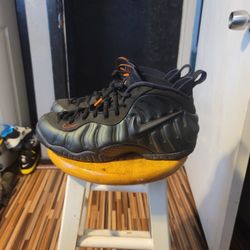 Foamposite Sequoia Size 11 $125!
