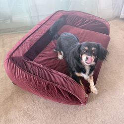 Dog Bed La-Z-Boy Fold Out Sleeper