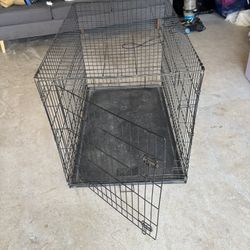 Dog Kennel 