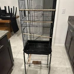 Bird Cage