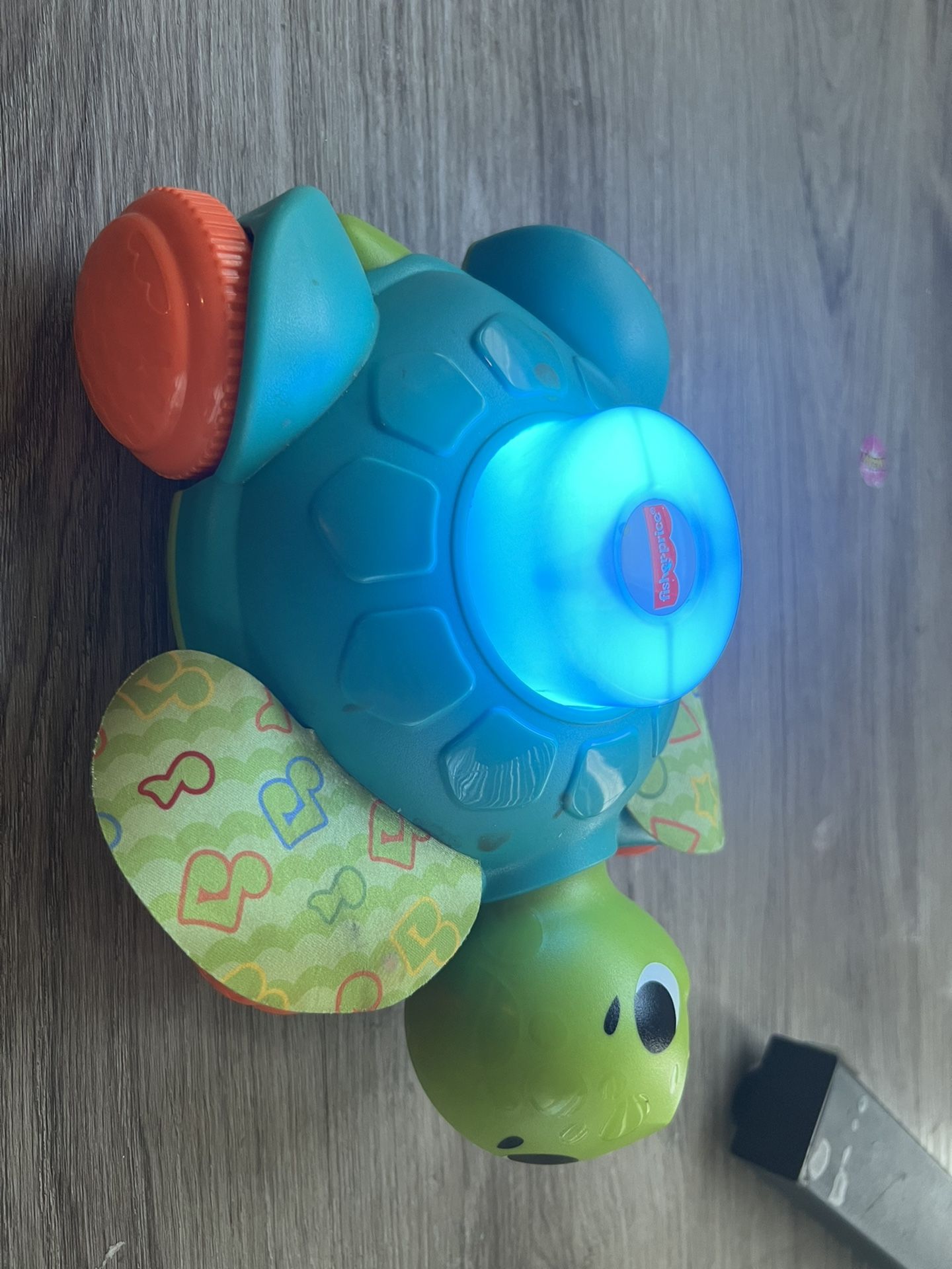 Moving Musical Turtle