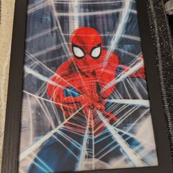 3D Spiderman Frame 13 X13