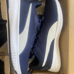 Blue Puma