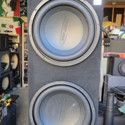12inch  Arc Audio Subs 