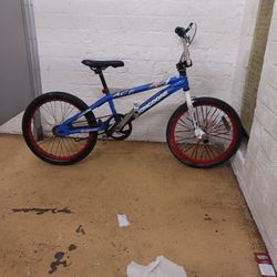 Mongoose Bike 20