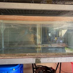 80 Gallons Aquarium