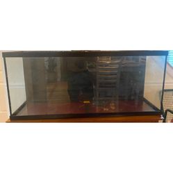50 Gallon Fish Tank