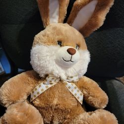Brown Bunny 