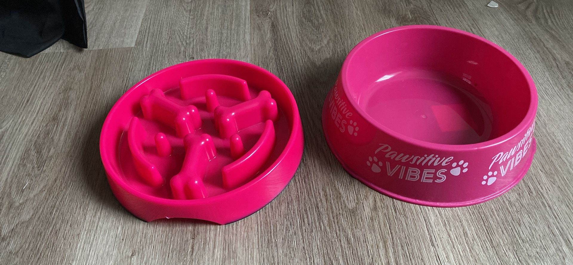 Plato Para Comida De Perros